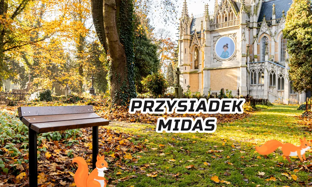 Przysiadek miejski Midas