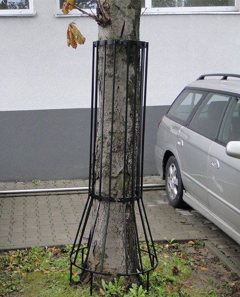Osłona drzew I