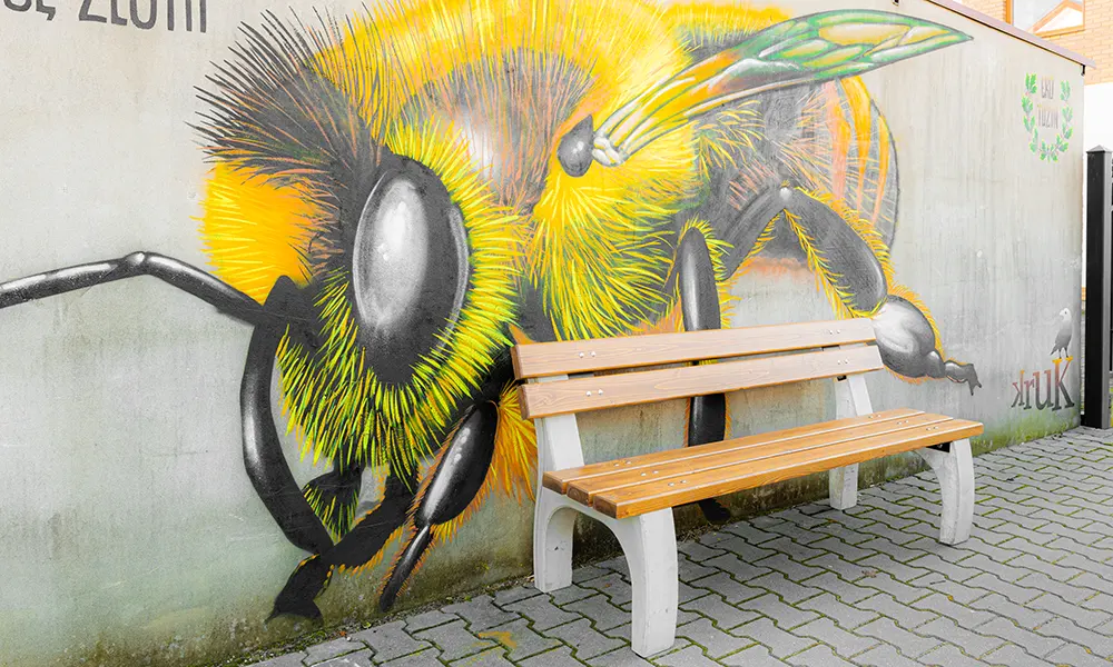 John park bench – photo 12