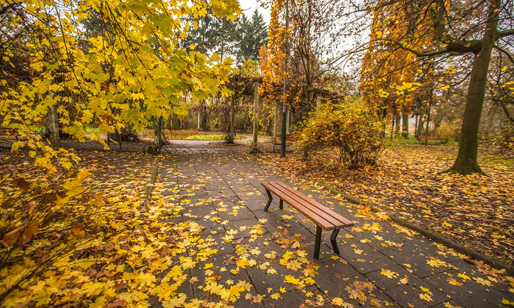 Ławka parkowa Sławek bez oparcia – fotografija 6