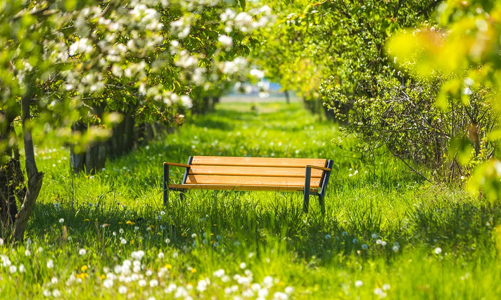 Sławek park bench with wooden armrest, version 2 – photo 7
