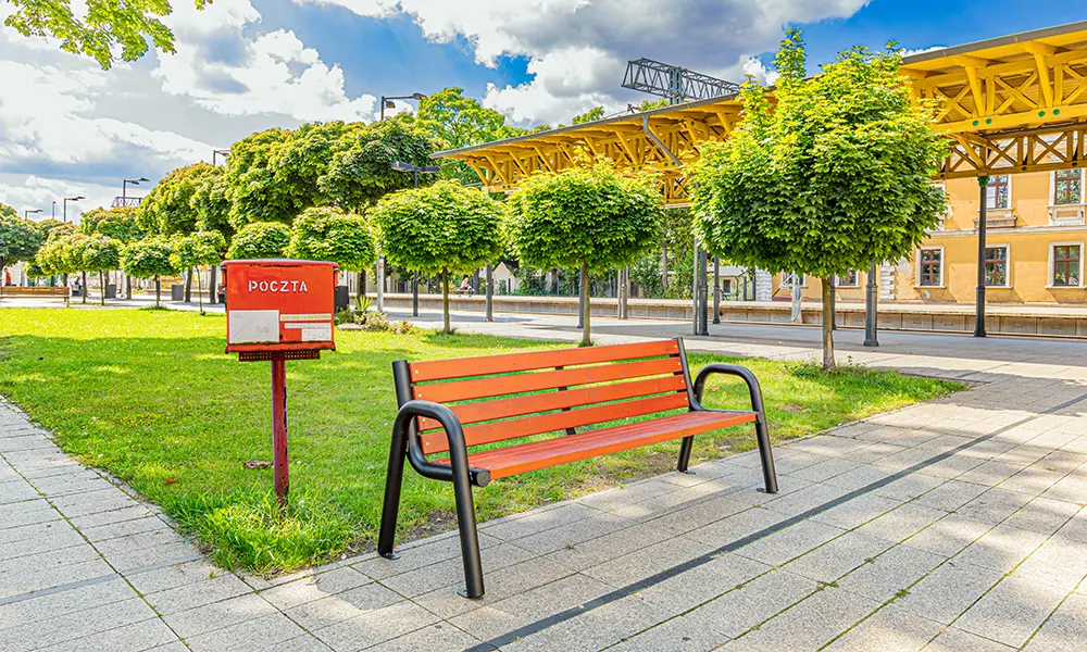 Tim bis park bench