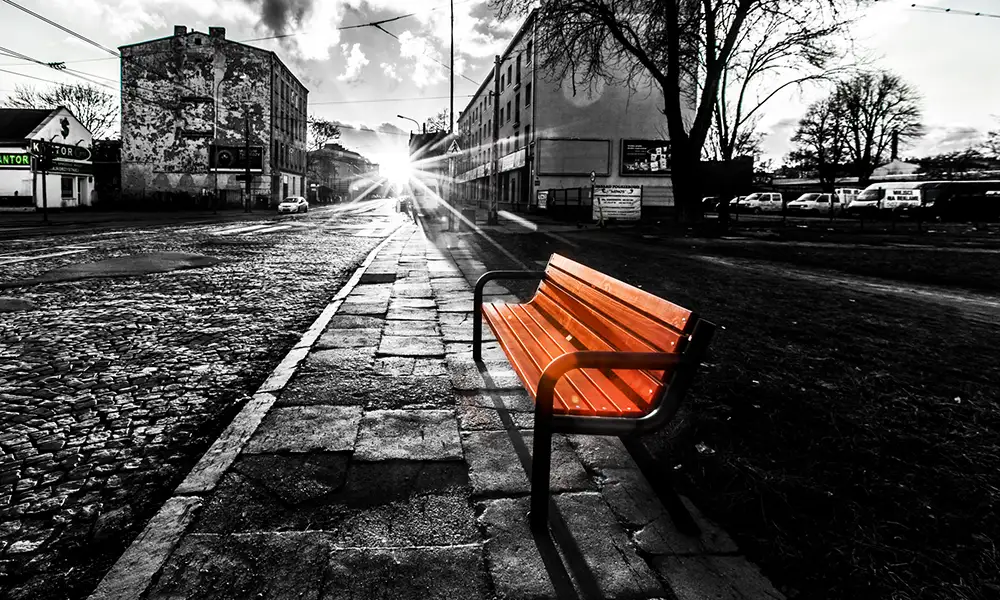 Eliana park bench version 2 – photo 5