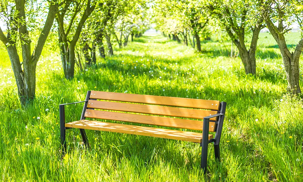 Sławek Park Bench, Bis Version – photo 4