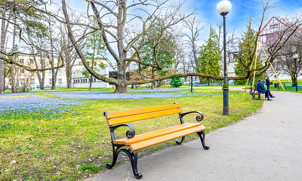 Roger Park Bench with Armrests