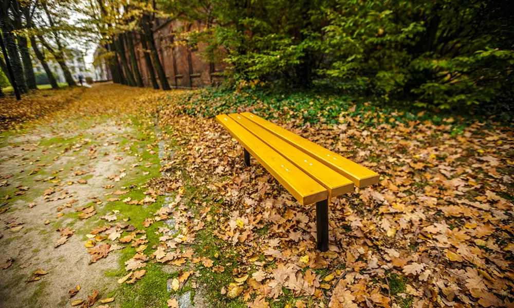 Joseph Park Bench