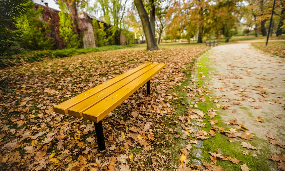 Joseph Park Bench – photo 5