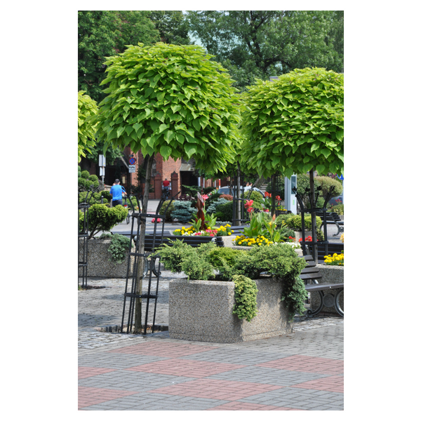 Vivian Rectangular Concrete Planter 120 x 80 x 60 cm – photo 4