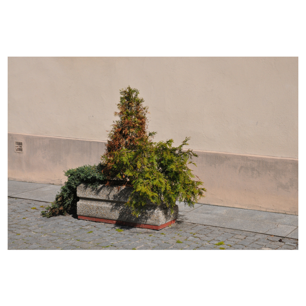 Donica betonowa Sara prostokątna 100 x 40 x 40 cm – fotografija 4